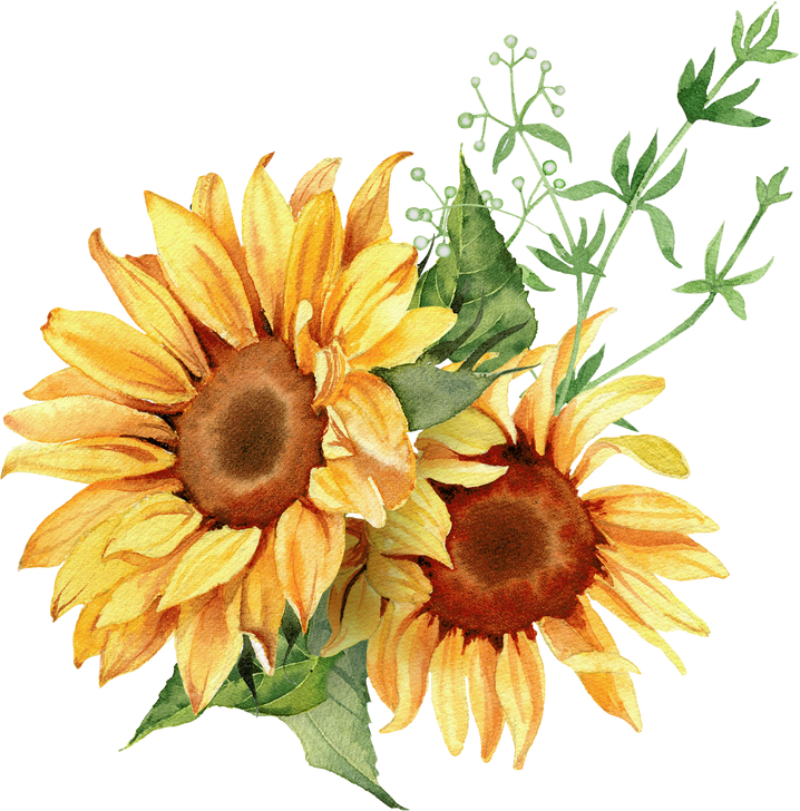 Watercolor sunflower arrangement